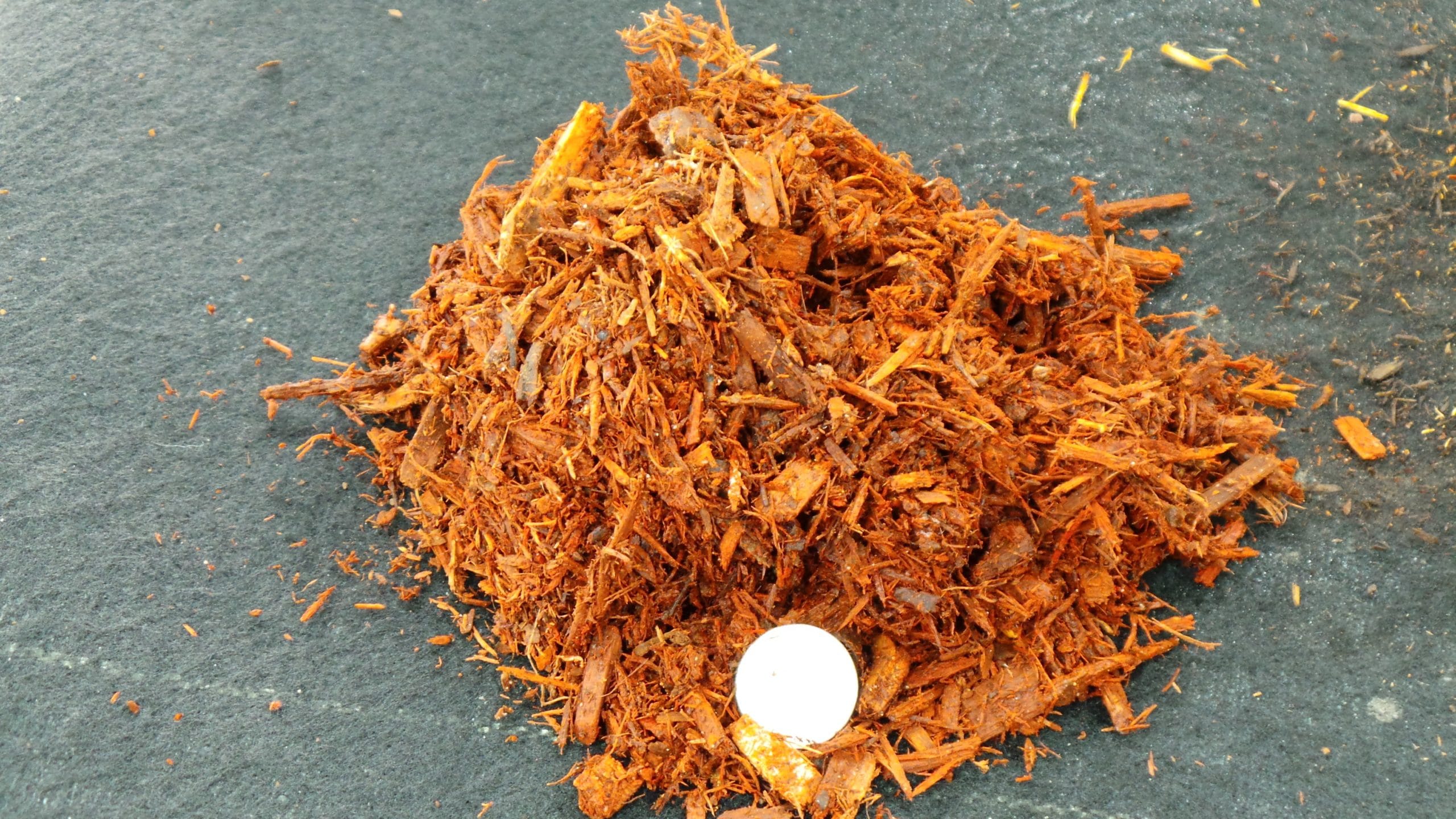 Bagged Mulch Delivery Lowes IUCN Water