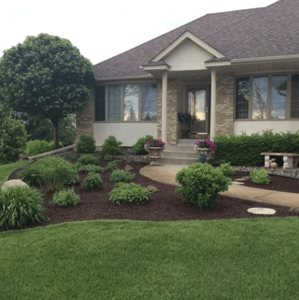 Brown Rubber Mulch in Front Landscape